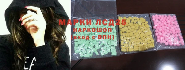 гашик Алексин