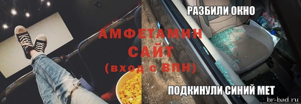 гашик Алексин