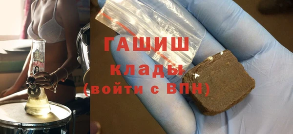 гашик Алексин