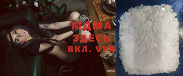 гашик Алексин