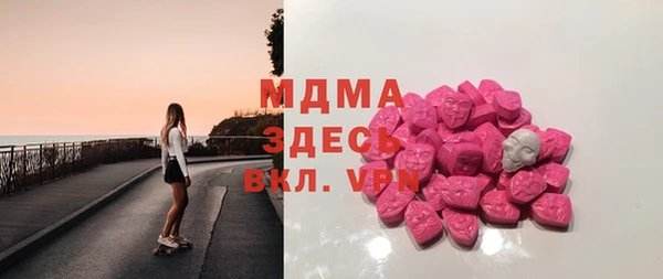 гашик Алексин