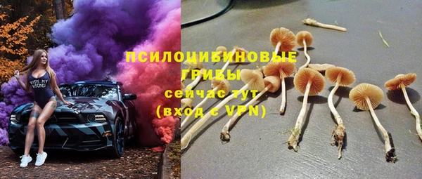 спайс Алзамай