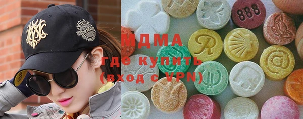 гашик Алексин