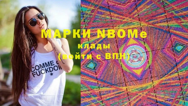 гашик Алексин