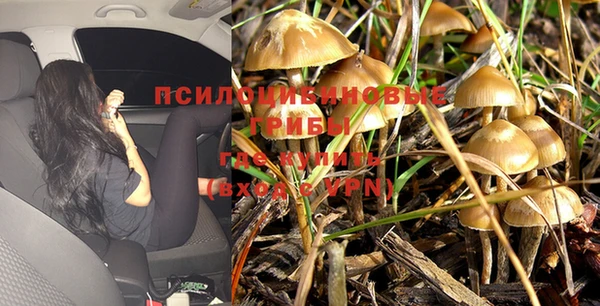спайс Алзамай