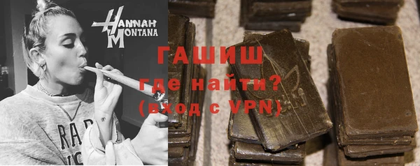 гашик Алексин