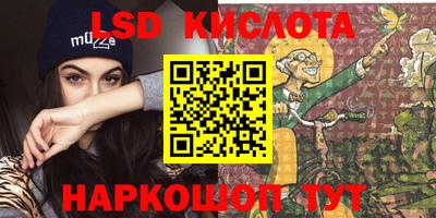 шишки Кингисепп
