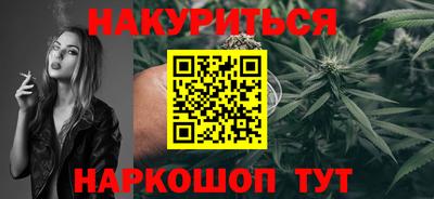 шишки Кингисепп