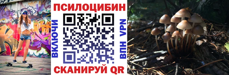 Галлюциногенные грибы MAGIC MUSHROOMS  Кемерово 