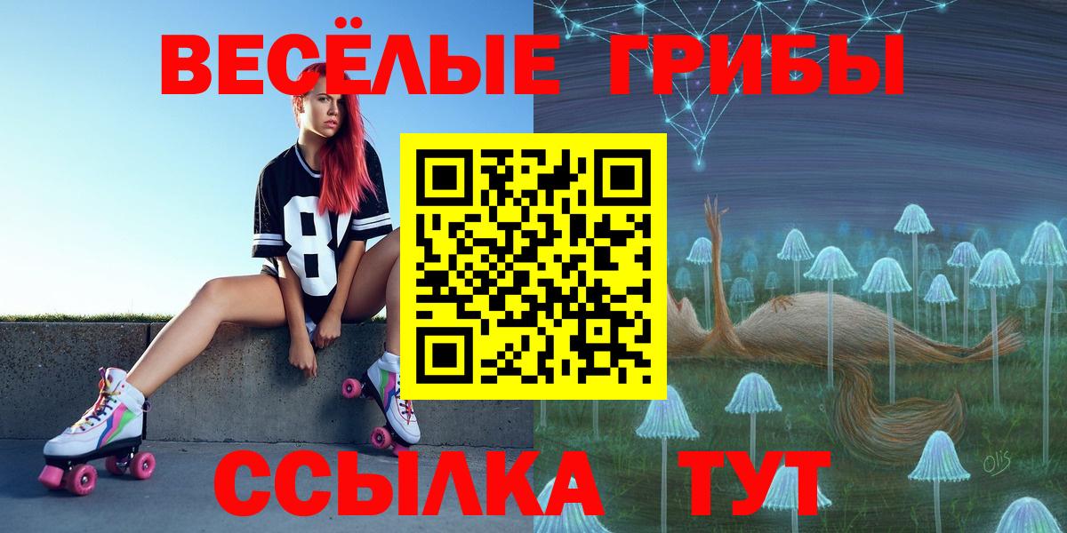 Псилоцибиновые грибы Psilocybe Кемерово